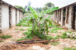 Building house in Africa