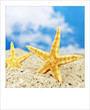 Foto: Polaroid - Urlaub Polaroid - Urlaub