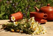 Foto: gesundheit aus der natur gesundheit aus der natur