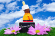 Photo: homeopathy homeopathy