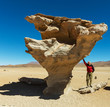 Photo: Dali desert Dali desert