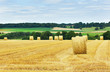 Golden hay bales in French countryside