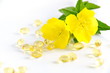 Photo: evening primrose and capsules evening primrose and capsules