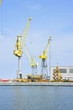 Yellow crane
