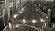 Modern Craft Brewery. Steel fermentation vessels.