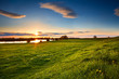 Photo: sunset over flowering meadows sunset over flowering meadows
