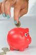 Sparen im Sparschwein