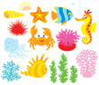 Sea animals