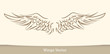 Vector Wings