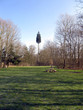 telecommunications antenna on the tree look is located among the