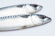 Two mackerel isolated on white