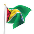 Guyana flag