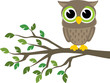 owl cartoon