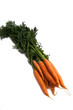 Carrot