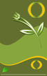 Modern flower  template for Your design.