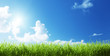 Foto: grass at sunny day grass at sunny day