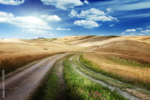 Photo: Road between the Fields of Tuscany, Italy Road between the Fields of Tuscany, Italy