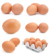 Fresh eggs