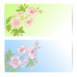 Two sakura banners.