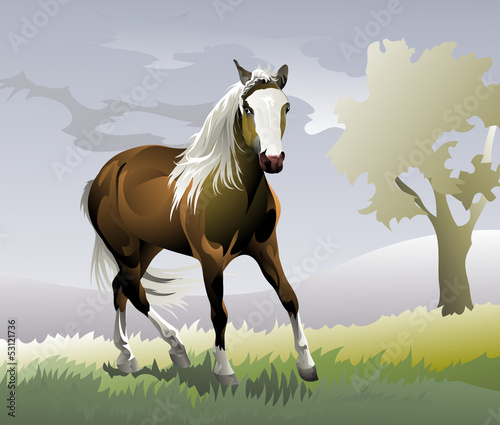 Vector: horse pony rides on the road horse pony rides on the road