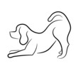 Hund