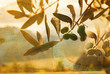 Foto: Olive Branch Vintage Olive Branch Vintage