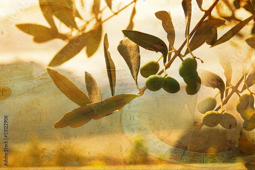Photo: Olive Branch Vintage Olive Branch Vintage