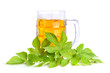 Photo: Beer in a glass mug Beer in a glass mug