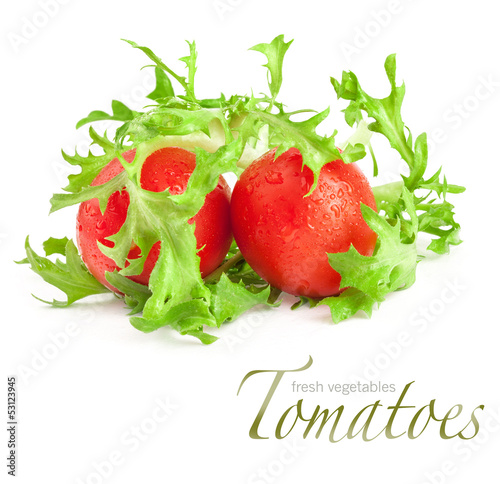 Photo: Lettuce and tomatoes isolated on white background Lettuce and tomatoes isolated on white background