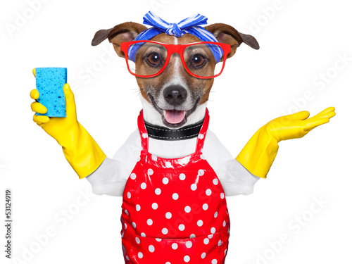 Photo: housewife dog housewife dog