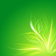 Nature background