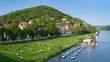Foto: Heidelberg Neckarwiese im Sommer Heidelberg Neckarwiese im Sommer