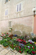 Zadar. Selling Flowers