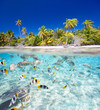 Photo: Tropical island Tropical island