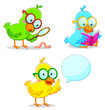 three smart birds learning and exploring