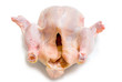 Photo: fresh raw chicken on a white background fresh raw chicken on a white background