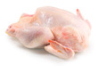 Photo: fresh raw chicken on a white background fresh raw chicken on a white background