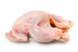 Photo: fresh raw chicken on a white background fresh raw chicken on a white background