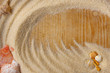 Muscheln im Sand Hintergrund
