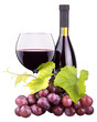 Ripe grapes, wine glass and bottle of wine