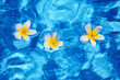 Photo: Flower in blue water Flower in blue water