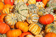 Colorful pumpkins