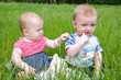 Two babies in the grass