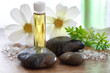 Photo: Wellness Wellness