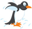 Vector: Penguin Penguin
