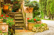 Beautiful decorated entrance to a house in the countryside, Ital