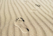 footprints on the sand footprints on the sand