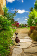 Two cats in ancient garden