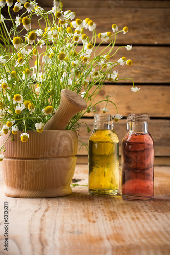 Photo: Chamomile. Chamomile.