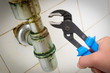 Plumber's Pipe Wrench